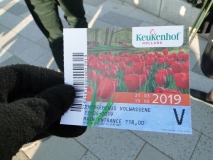 AMA-Keukenhof-1