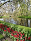 AMA-Keukenhof-8